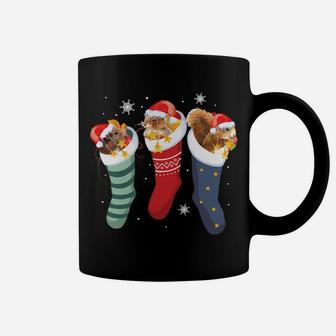 Squirrel Socks Funny Cute Pet Christmas Xmas Sweatshirt Coffee Mug | Crazezy UK