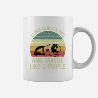 I Like Guinea Pigs And Maybe 3 People Retro Funny Guinea Pig Coffee Mug | Crazezy