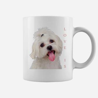 Womens Bichon Maltese Shirt Dog Mom Dad Puppy Bichon Frise Malta Coffee Mug | Crazezy DE