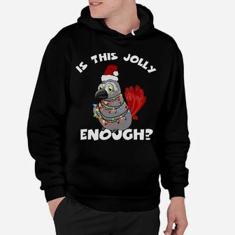 African Grey Parrot Jolly Santa With Lights Hoodie | Crazezy