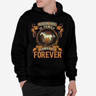 Arabian Horse Is Family Forever Pet Lovers Gift Hoodie | Crazezy
