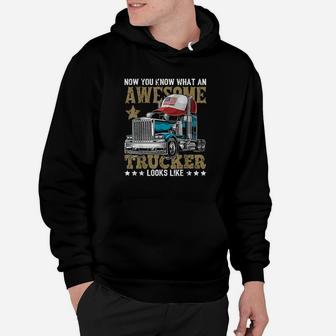 Awesome Trucker American Flag Truck Driver Trucker Hat Gift Hoodie | Crazezy