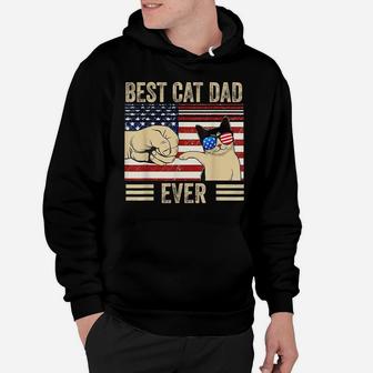 Best Cat Dad Ever Funny Cat Daddy Father Day Hoodie | Crazezy