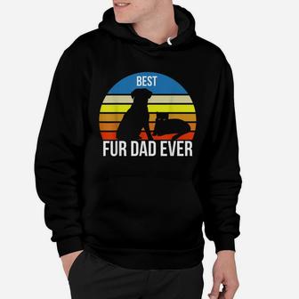 Best Fur Dad Ever Vintage Retro Dog And Cat Owner Funny Hoodie | Crazezy