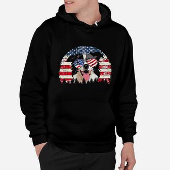 Border Collie Dog American Flag 4Th Of July Retro Vintage Hoodie - Monsterry