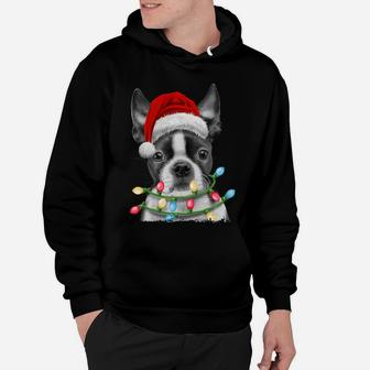Boston Terrier Santa Christmas Tree Lights Xmas Gifts Boys Hoodie | Crazezy