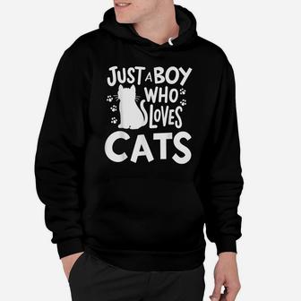 Cat Just A Boy Who Loves Cats Gift For Cat Lovers Hoodie | Crazezy