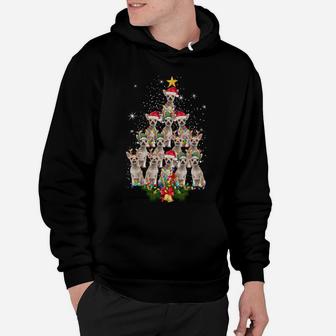 Chihuahua Christmas Tree Dog Xmas Lights Pajamas Xmas Gift Sweatshirt Hoodie | Crazezy CA