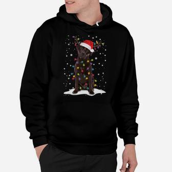 Chocolate Lab Labrador Christmas Tree Light Pajama Dog Xmas Sweatshirt Hoodie | Crazezy