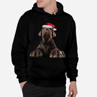 Chocolate Lab Puppy Dog Santa Hat Image Funny Christmas Gift Sweatshirt Hoodie | Crazezy