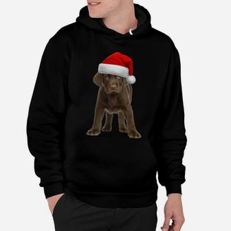 Chocolate Lab Shirt Dog Labrador Retriever Christmas Gift Sweatshirt Hoodie | Crazezy UK