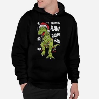 Christmas Carol Singing T-Rex Funny Santa Hat Dino Gift Hoodie | Crazezy