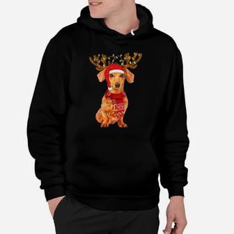 Christmas Lights Dachshund Dog Lover Dog Dad Dog Mom Sweatshirt Hoodie | Crazezy