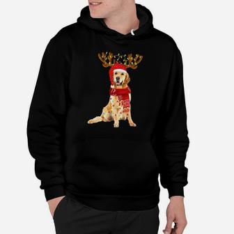 Christmas Lights Golden Retriever Dog Lover Dog Dad Dog Mom Sweatshirt Hoodie | Crazezy