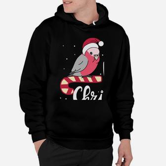 Chubby Galah Cockatoo Merry Christmas Kawaii Parrot Sweatshirt Hoodie | Crazezy UK