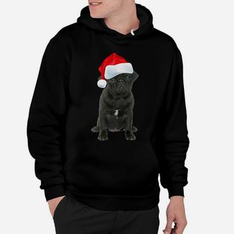 Cute Black Pug Shirt Santa Hat Image Funny Christmas Gift Hoodie | Crazezy