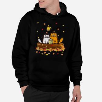 Cute Cat Autumn Hello Fall Leaves Funny Cat Kitten Lovers Hoodie | Crazezy AU