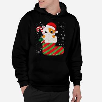 Cute Cat Christmas Sock Candy Cane Xmas Kittens Lovers Hoodie | Crazezy