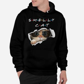 Cute Cat Lovers Funny Smelly Cat Hoodie | Crazezy