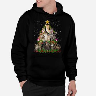 Cute Christmas Tree Cats Deco Lights Funny Cat Xmas Gift Sweatshirt Hoodie | Crazezy