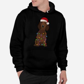 Dachshund Christmas Lights Xmas Dog Lover Sweatshirt Hoodie | Crazezy