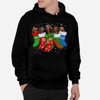 Dachshund Christmas Shirt Dachshund Dog Cute Socks Xmas Gift Hoodie | Crazezy