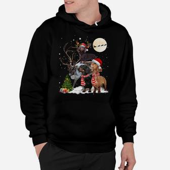 Dachshund Reindeer Xmas Lights Christmas Moon Xmas Dog Sweatshirt Hoodie | Crazezy