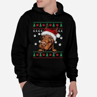 Doberman Christmas Ugly Sweater Funny Dog Lover Xmas Sweatshirt Hoodie | Crazezy