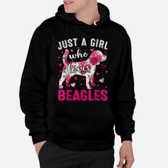 Dog Lover Just A Girl Who Loves Beagles Women Girls Hoodie | Crazezy AU