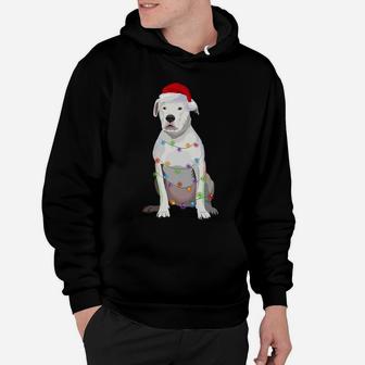 Dogo Argentino Christmas Lights Xmas Dog Lover Hoodie | Crazezy