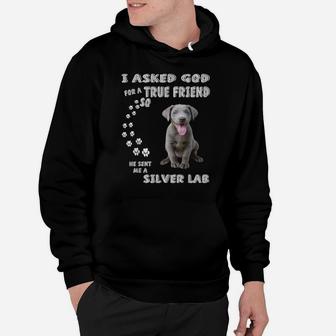 Fun Labrador Retriever Dog Mom Dad Costume, Cute Silver Lab Hoodie | Crazezy