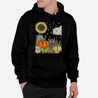 Funny Cats & Pumpkin Sunflower Fall Cat Lovers Thanksgiving Hoodie | Crazezy