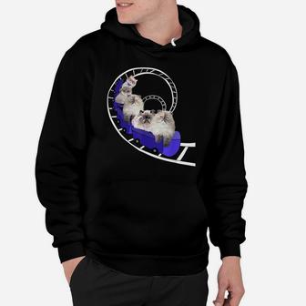 Funny Persian Cats Gifts Cat Lovers Roller Coaster Womens Hoodie | Crazezy CA