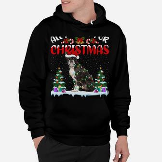 Funny Santa Hat All I Want For Christmas Is A Boston Terrier Hoodie | Crazezy