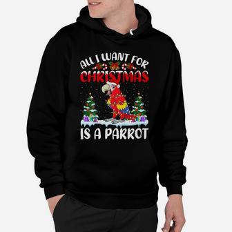 Funny Santa Hat All I Want For Christmas Is A Parrot Hoodie | Crazezy DE