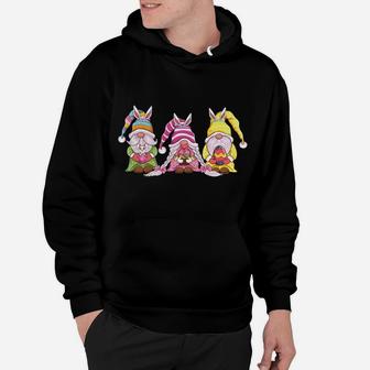 Happy Easter Gnomes With Bunny Ears Egg Hunting Easter Gnome Hoodie | Crazezy UK