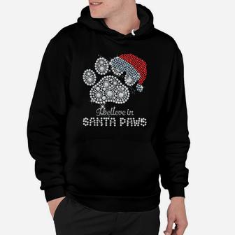 I Believe In Santa Paws Cat Dog Lovers Christmas Xmas Gift Hoodie | Crazezy UK