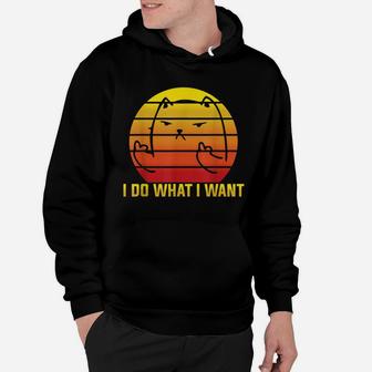 I Do What I Want - Funny Retro Vintage Cat Lover Quote Hoodie | Crazezy