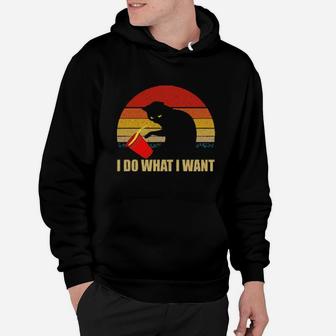 I Do What I Want Hoodie - Monsterry