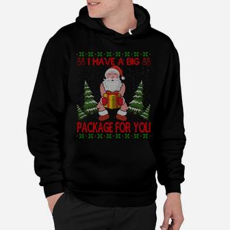 I Have Big Package For You Santa Claus & Huge Box Christmas Sweatshirt Hoodie | Crazezy