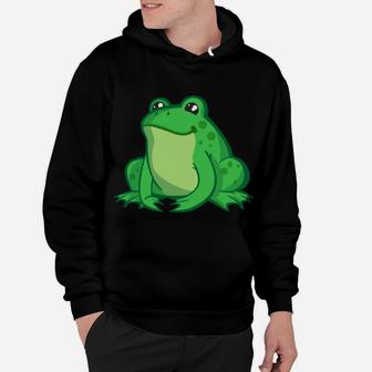 I Just Really Like Frogs Ok Funny Frog Quote Christmas Gift Hoodie | Crazezy