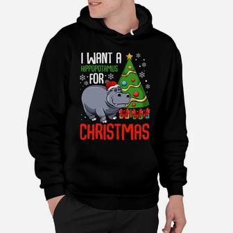 I Want A Hippopotamus For Christmas Hippo Animal Xmas Santa Sweatshirt Hoodie | Crazezy
