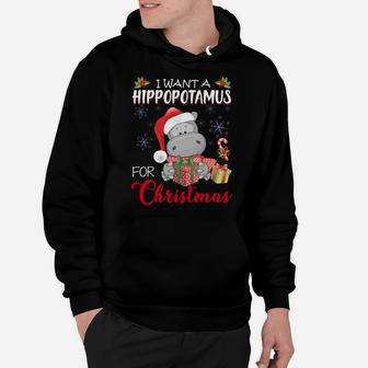 I Want A Hippopotamus For Christmas Xmas Hippo For Kid Women Sweatshirt Hoodie | Crazezy