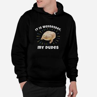 It Is Wednesday My Dudes Hoodie - Thegiftio