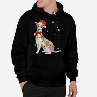 Italian Greyhound Dog Christmas Light Xmas Mom Dad Gifts Sweatshirt Hoodie | Crazezy AU