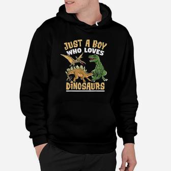 Just A Boy Who Loves Dinosaurs Hoodie | Crazezy UK