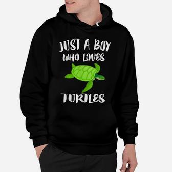Just A Boy Who Loves Sea Turtles Ocean Animal Gift Hoodie | Crazezy