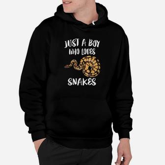 Just A Boy Who Loves Snakes Animal Gift Hoodie | Crazezy UK