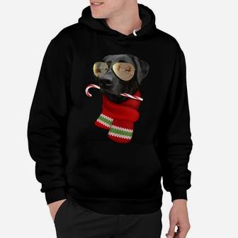 Labrador Shirt Christmas Gift Dog Lovers Lab Sunglasses Sweatshirt Hoodie | Crazezy AU
