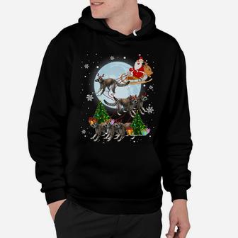 Lemurs Reindeer Christmas Funny Lemurs Lover Xmas Gifts Hoodie | Crazezy